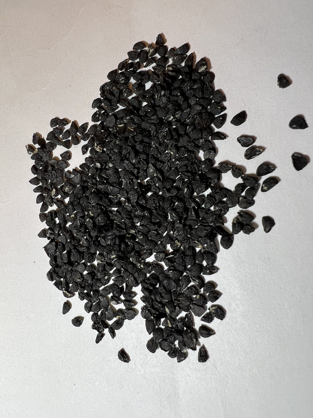500+ CT Garlic Chives, Non-GMO, Organic, Heirloom Seeds 500多粒高芽率农场自留韭菜种子2023年产