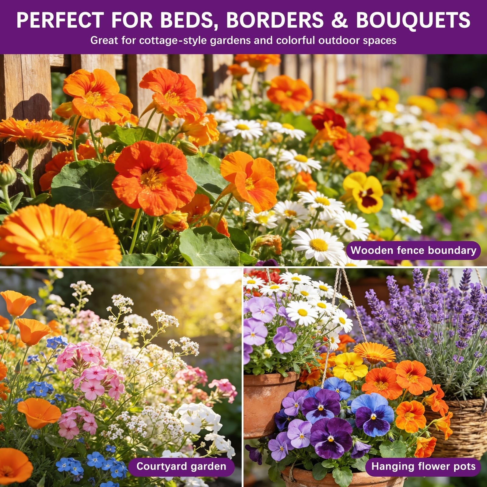 Wildflower Seed Mix 1/2 lb – 19830+ Non-GMO Perennial & Annual Flower Seeds for