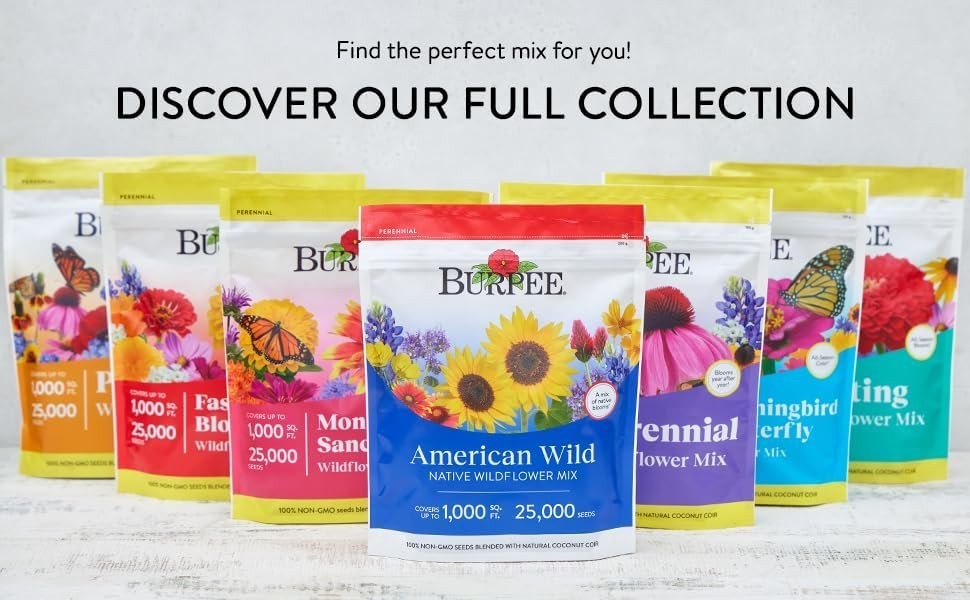 Heirloom Wildflowers Mix – 25,000 Non-GMO Seeds for Pollinators | Spring to Fall