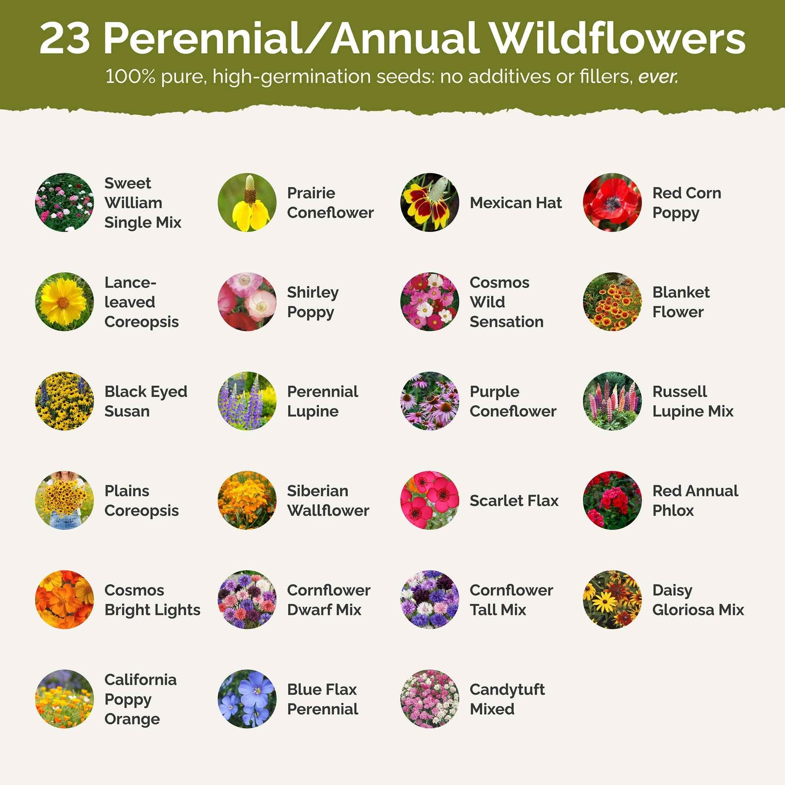 Eden Brothers Midwest Wildflower Mixed Seeds for Planting, 1 1 Pound,