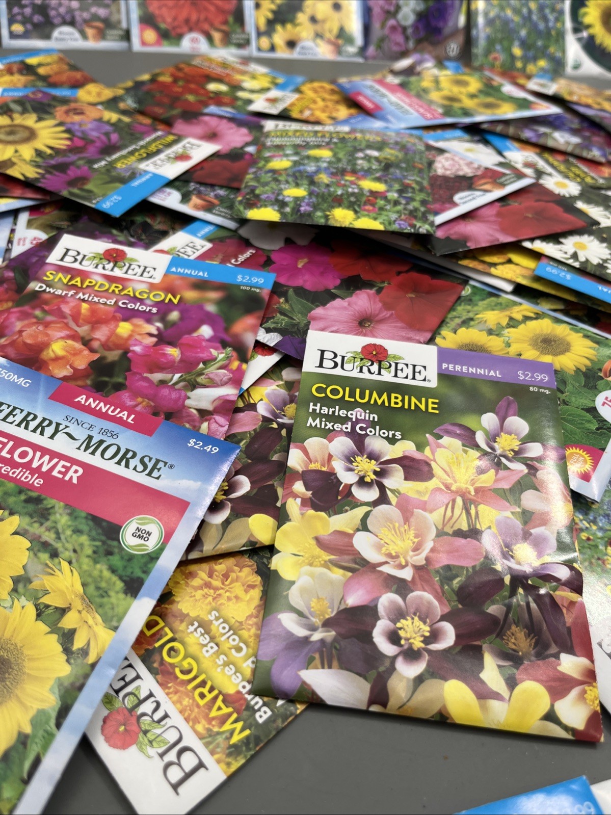 Flowers annual perennial Plant Seeds (Assorted Lot of 100) sell by 11/26 Garden