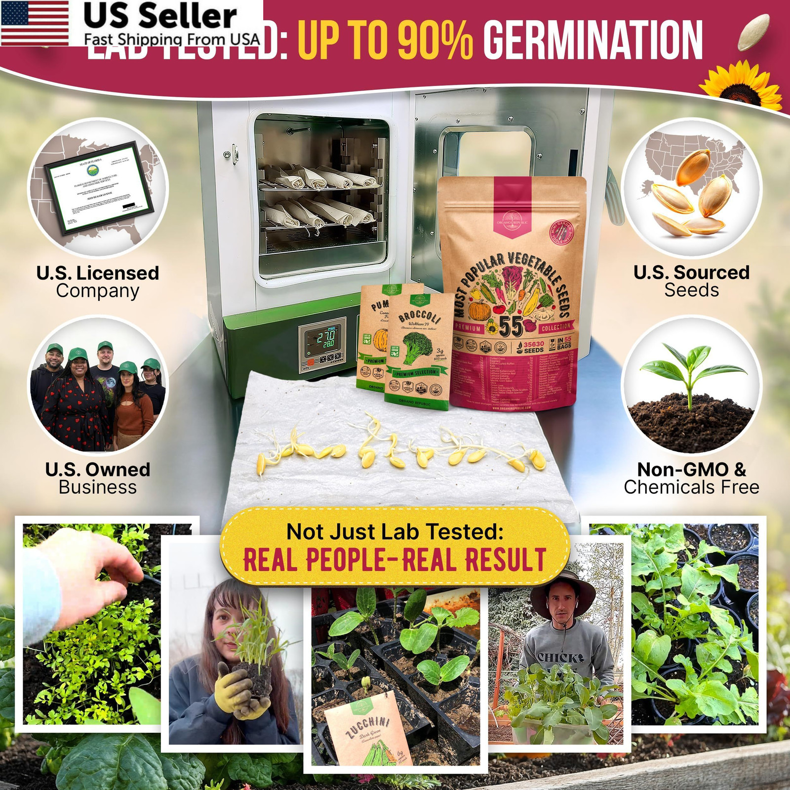 55 Vegetable Seeds Variety Pack – 35,600+ Non-GMO Green, Red, Purple, Yellow