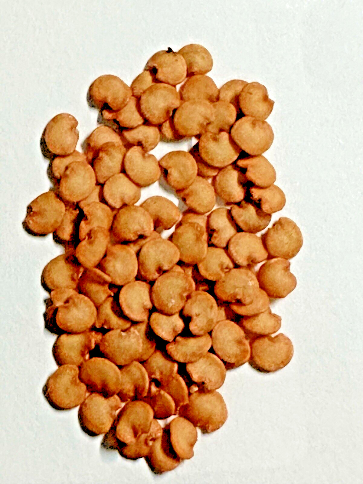 10 Indian Green Eggplant Fresh Organic Seeds~ Eggplant Seeds.
