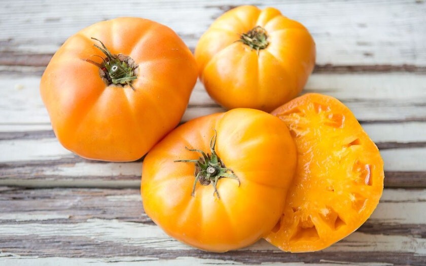 45 ORGANIC Non-GMO Brandywine Yellow Tomato Seeds- Seeds Of Tomorrow