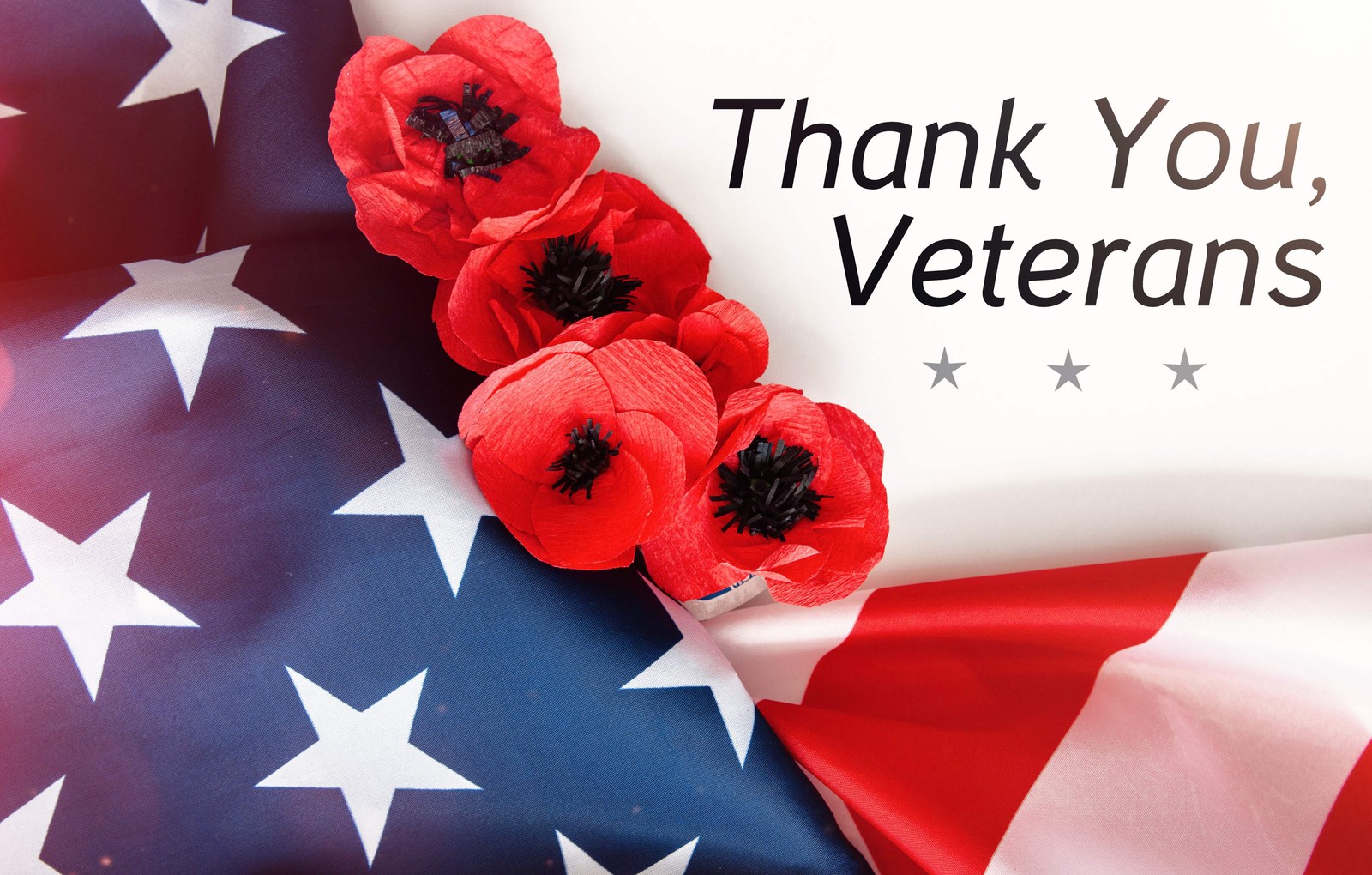 1000 Red AMERICAN LEGION POPPY Corn Shirley Flanders Papaver Rhoeas Flower Seeds