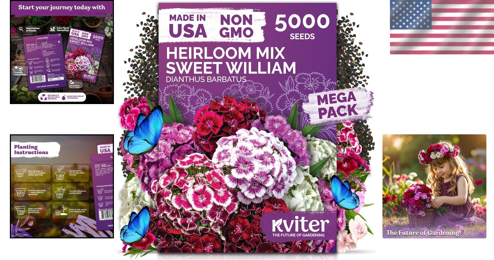 Mix Sweet William Seeds – Drought Tolerant Heirloom Blooms for Indoor/Outdoor