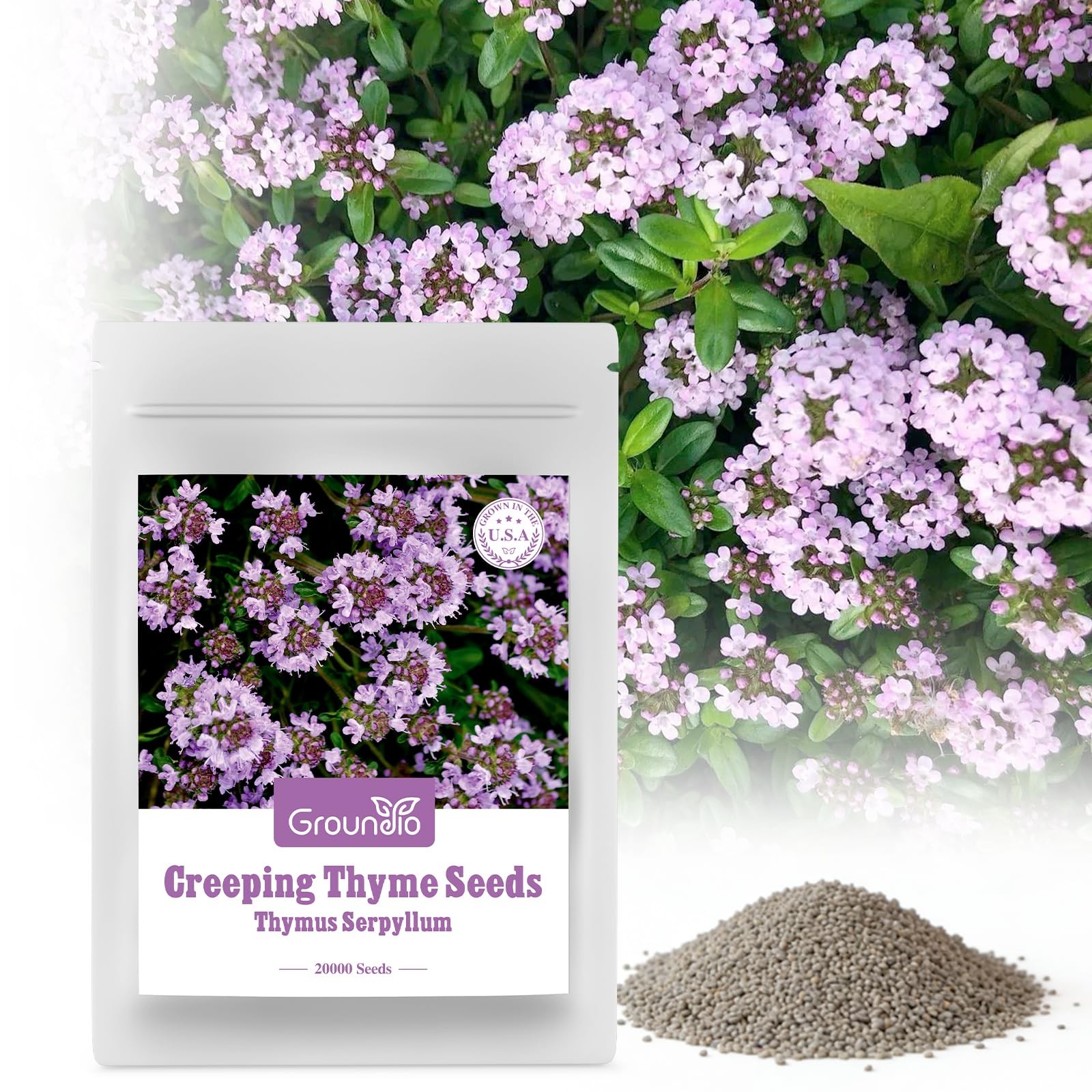 20000+ Creeping Thyme Seeds Ground Cover Plant,