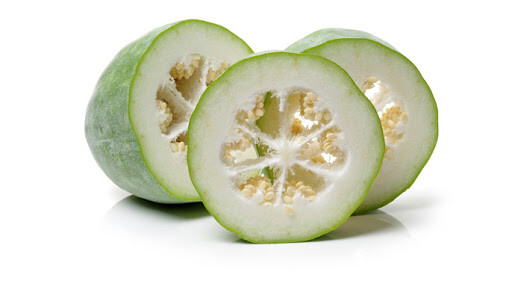 40 Seeds of Organic Ash GOURD Winter Melon Seeds Harvest from my garden