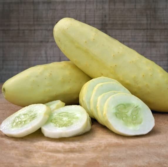 Silver Slicer Cucumber Seeds for Planting – Marketmore Cucumbers (50 Seeds)