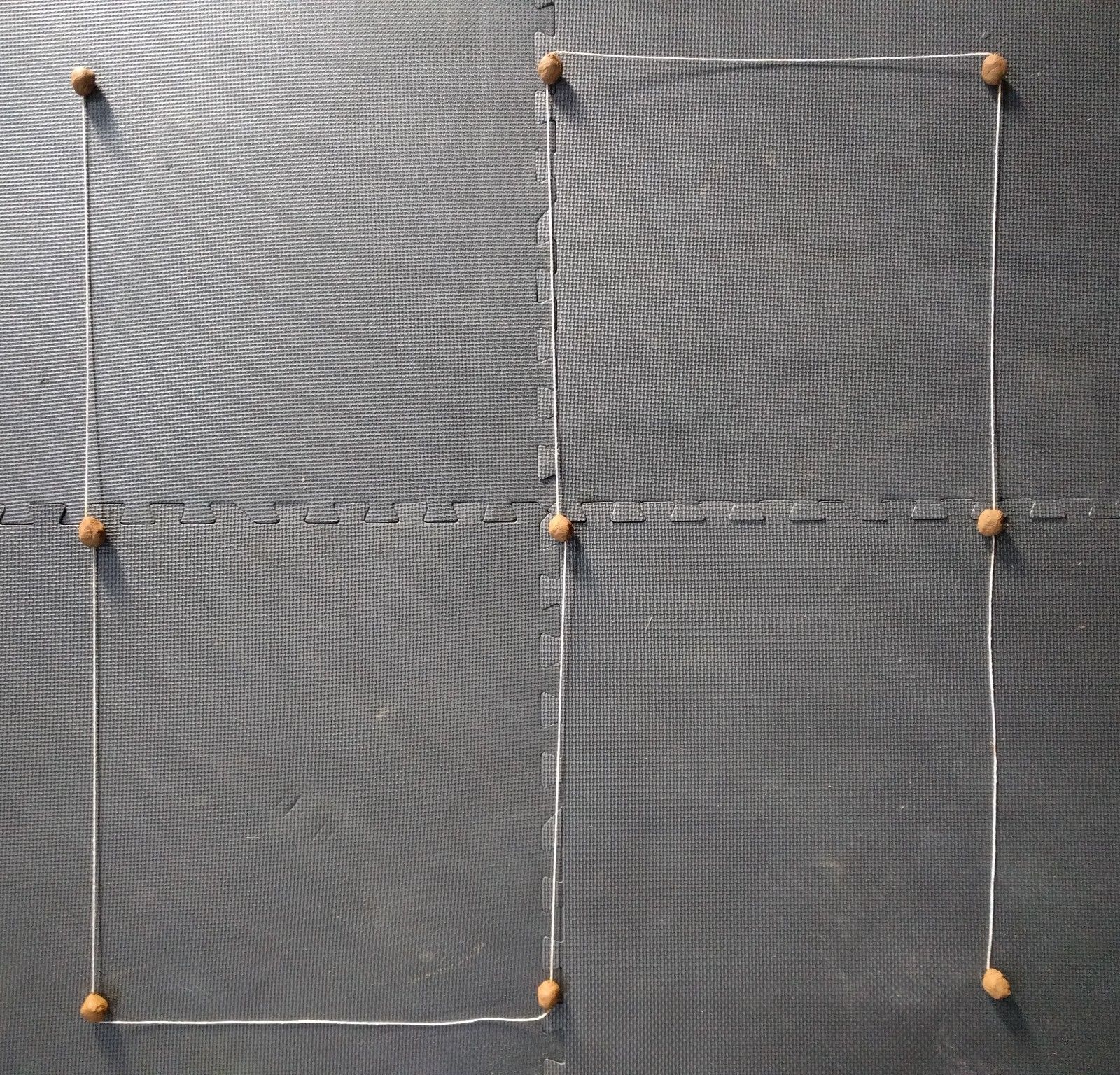 Common Milkweed Pollinator Seed Plot Strings, 9 Seed/Clay balls Per string