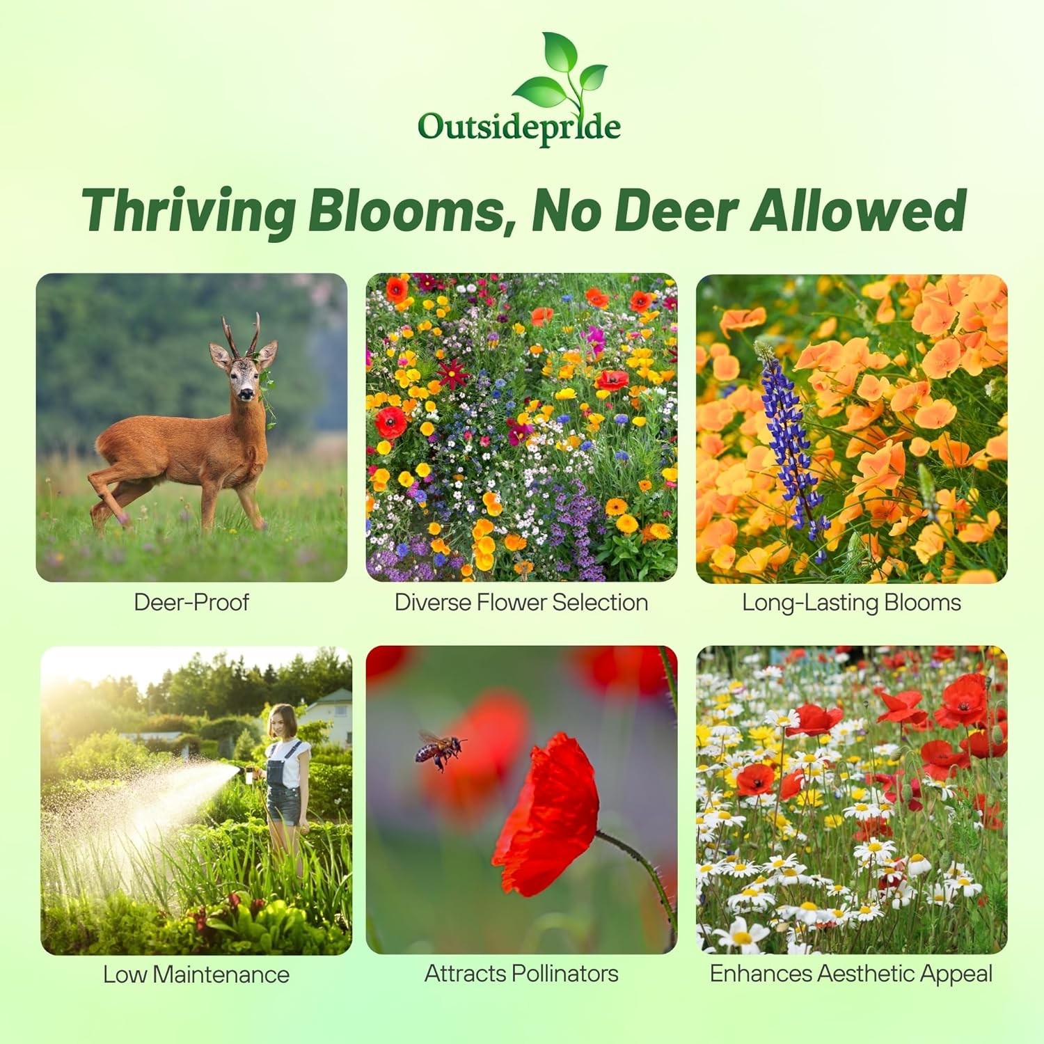 5 LBS Deer Resistant Wild Flower Seed Mix – available in bulk