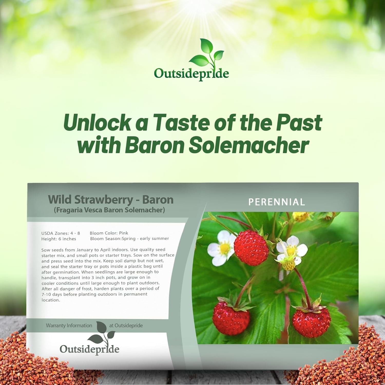 5000 Seeds Strawberry Seed – Wild Fragaria Vesca Ground Cover Seeds