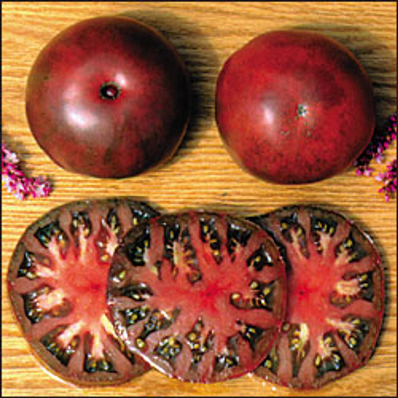50 BLACK FROM TULA TOMATO SEEDS FRESH HARVEST FOR 2024 GARDENS