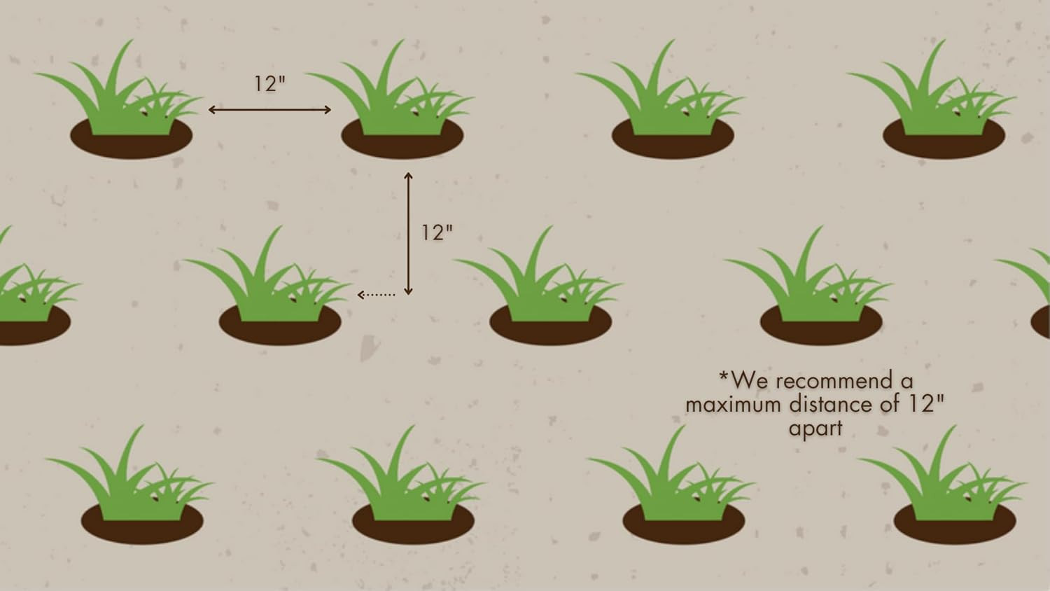 Zoysia Grass Plugs 100 Pk Mature Rooted Individual Zoysia Sod Plugs Lawn Repair