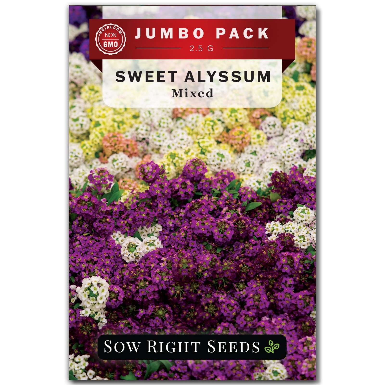 Bulk Sweet Alyssum Mix Seeds for Planting NonGMO Heirloom Jumbo Pack Annua…