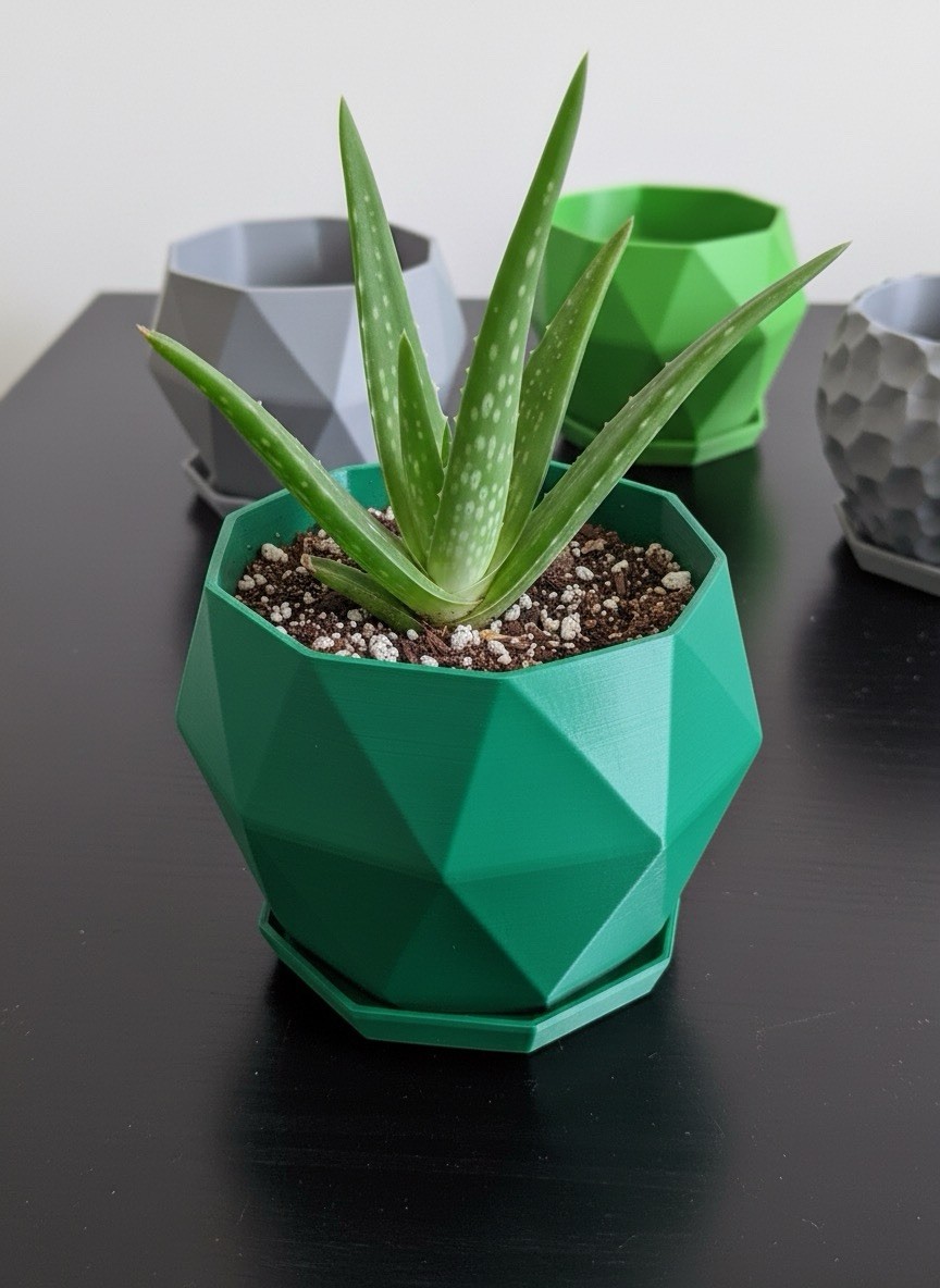 Aloe Vera 1 Live Plant 5”-10″ bare root + 3D Printed Planter (Color Varies)
