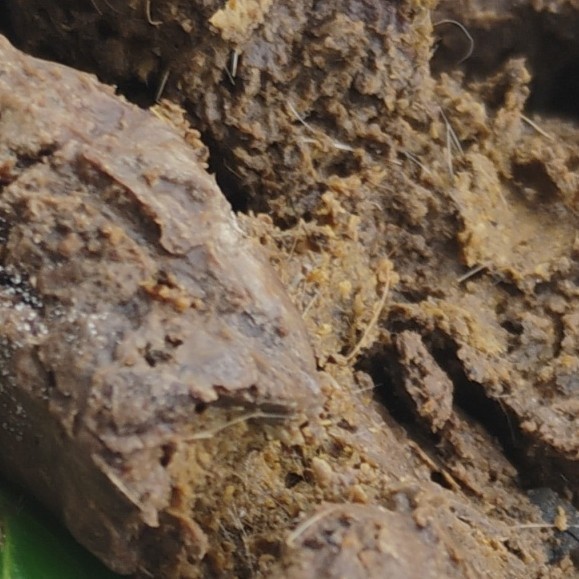 Some Beautiful Fertilizer That Has Been Made In A Workshop In China