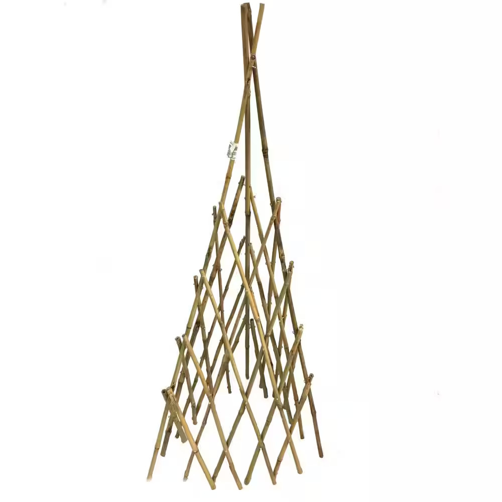 60 In. H Natural Bamboo Poles Teepee