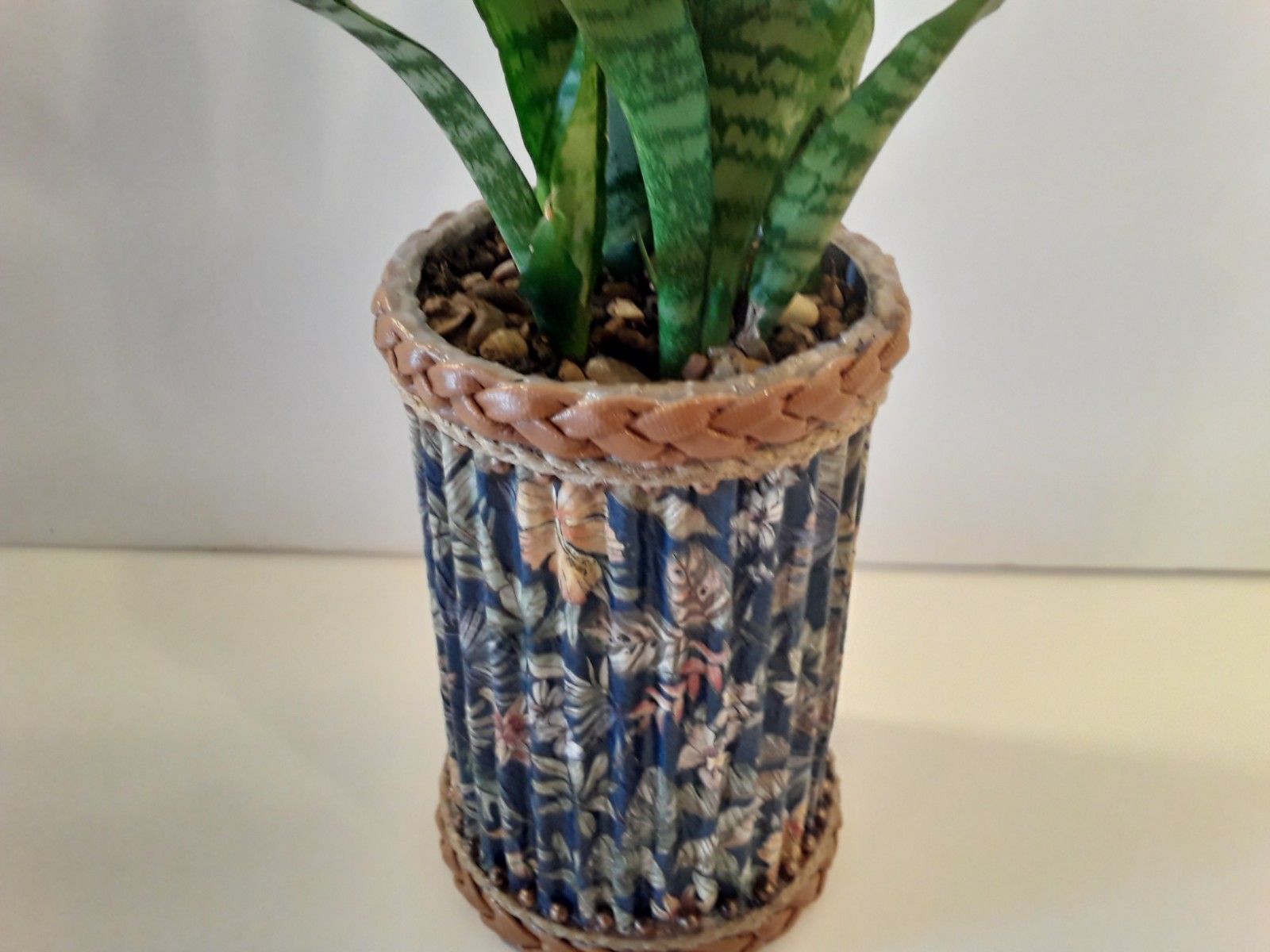 Sansevieria Snake Plant- 4 Healthy Rooted Plants in 6″x4″ Crafted Container