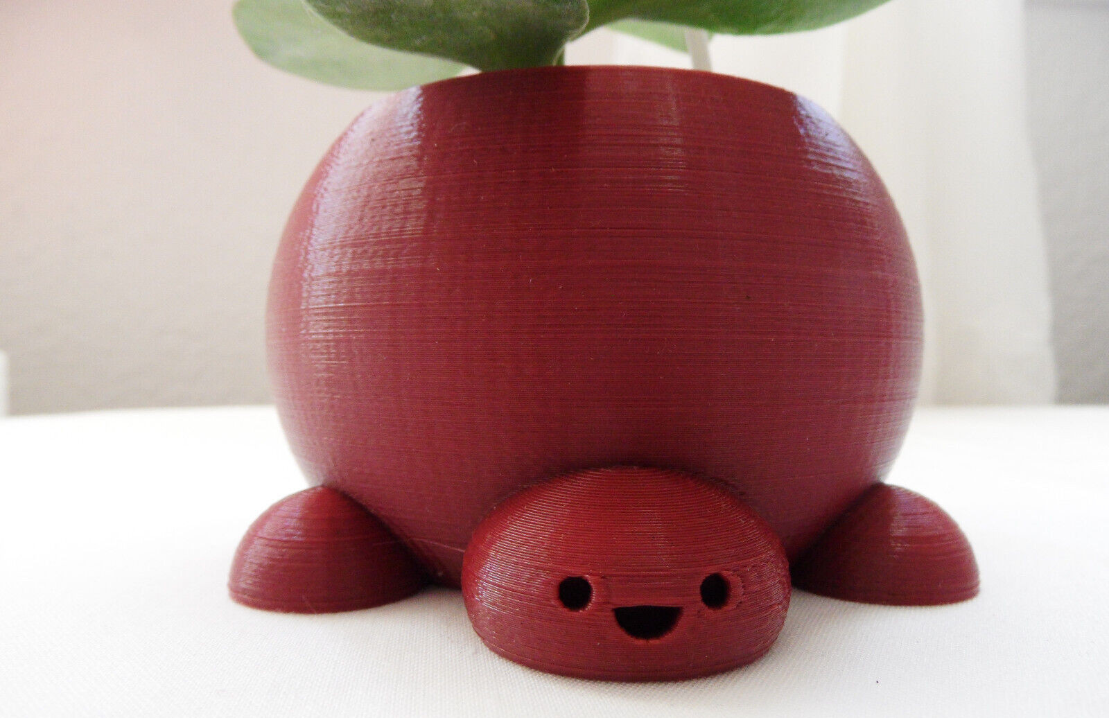 Crassula Ovata Jade money Friendship Plant planted in 3D printed Turtle planter