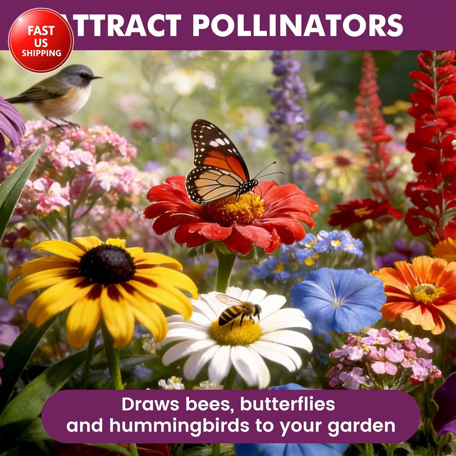 Wildflower Seeds Bulk 10000+, 1.06Oz Butterfly Hummingbird Mix, 21 Variety Peren