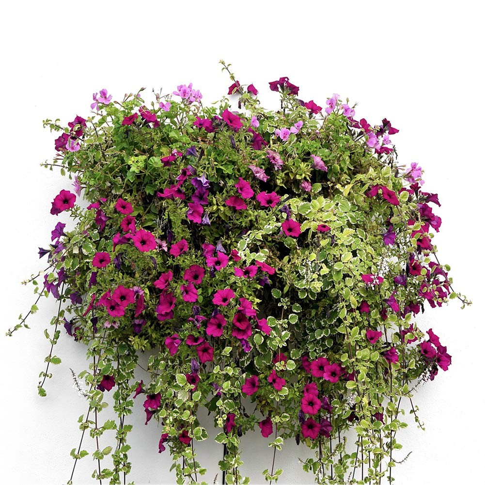 2PCS Half Round Coco Fiber Liner Replacement for Hanging Basket Planter