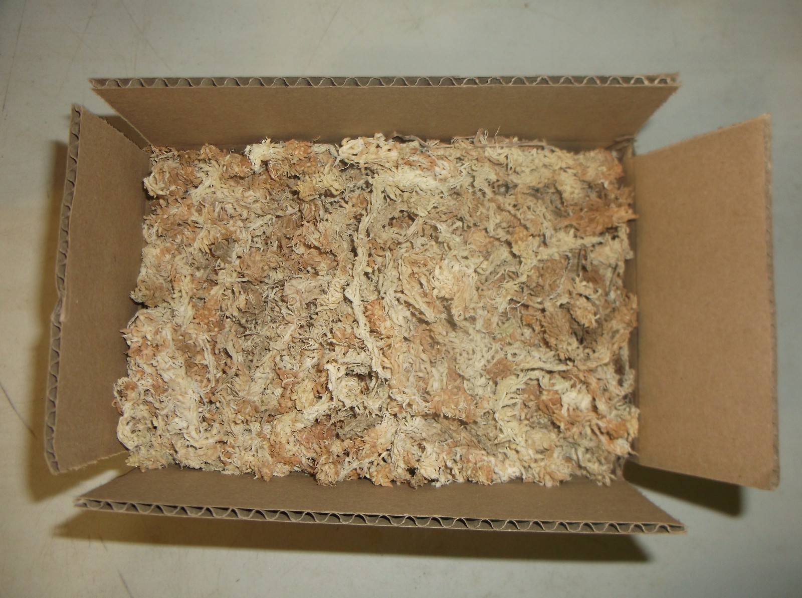 4.5 ounces of New Zealand Long Fibered Sphagnum Moss