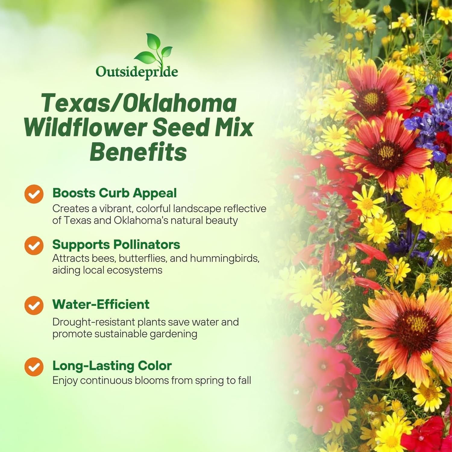 1 LB Texas and Oklahoma Wildflower Seed Mixes For Planting Outdoors