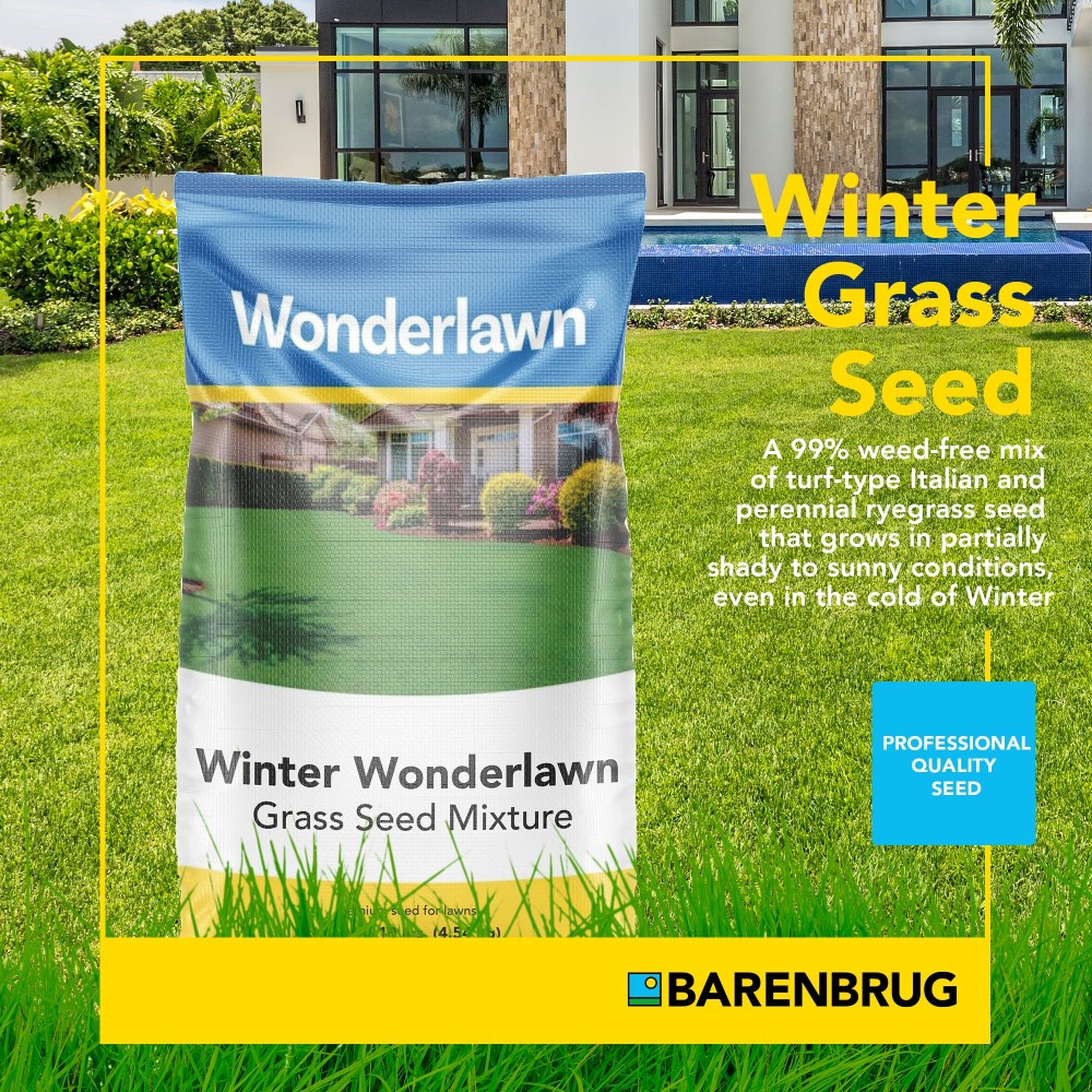 Barenbrug 24049 Italian Perennial Grass Seed 10 lb (Pack of 5)