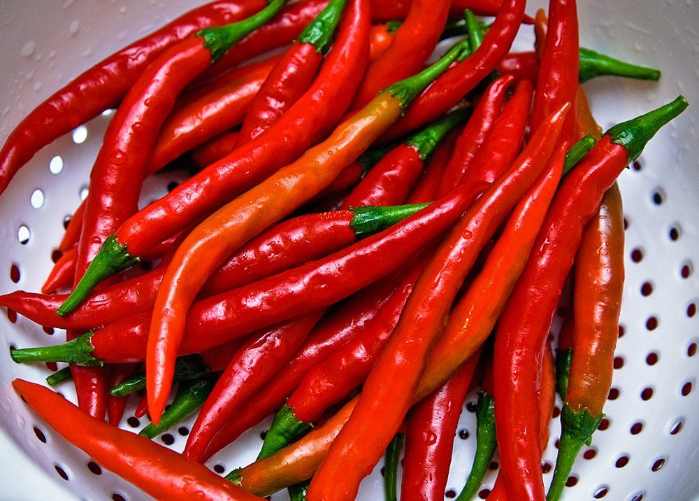 45+ Long Thin Cayenne Hot Pepper Seeds