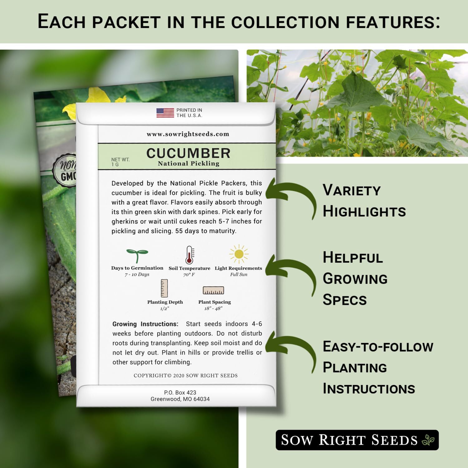 – Classic Vegetable Garden Seed Collection for Planting – Non-GMO Heirloom Br…