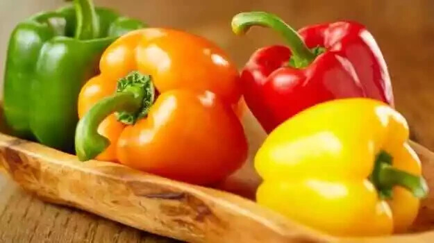 225 MIX COLOR GIANT SWEET BELL PEPPER SEEDS 4″ WIDE ORGANIC GROWN SOLID FLESH