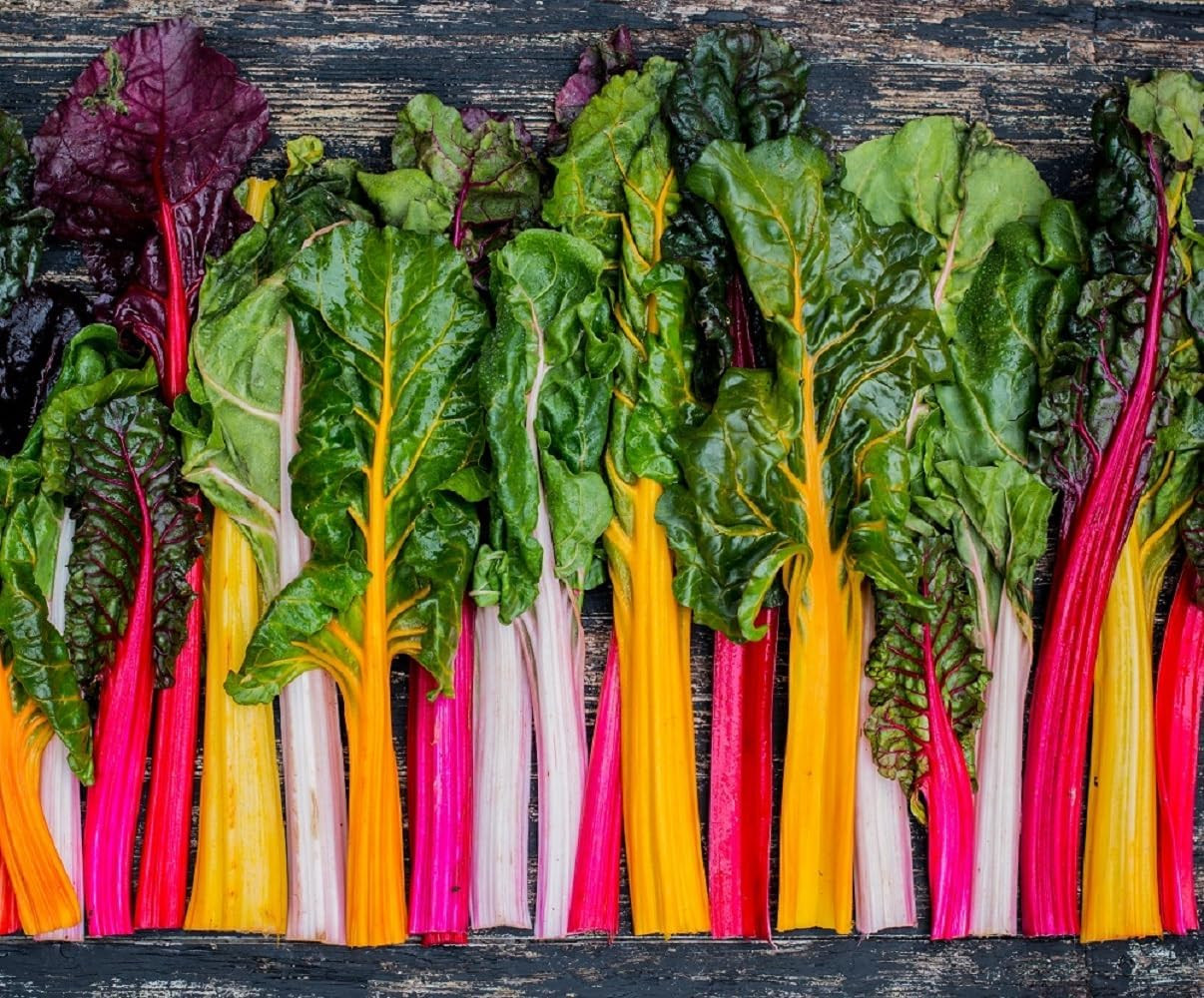 50+ Rainbow Swiss Chard Seeds for Planting – Heirloom Non-Gmo | Beta Vulgaris Su