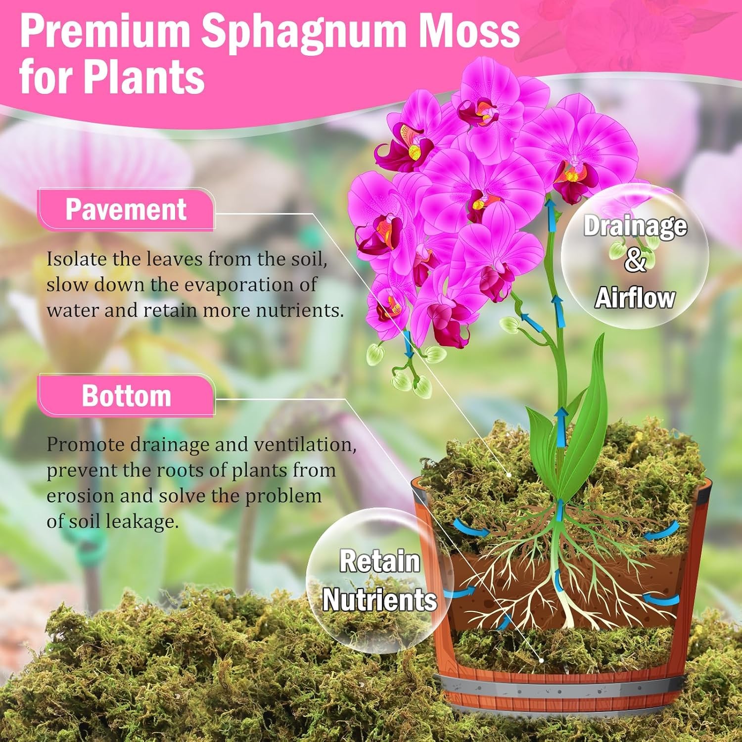 4.4LBS Premium Sphagnum Moss for Plants- 80QT Natural Dried Plant Moss for Potte