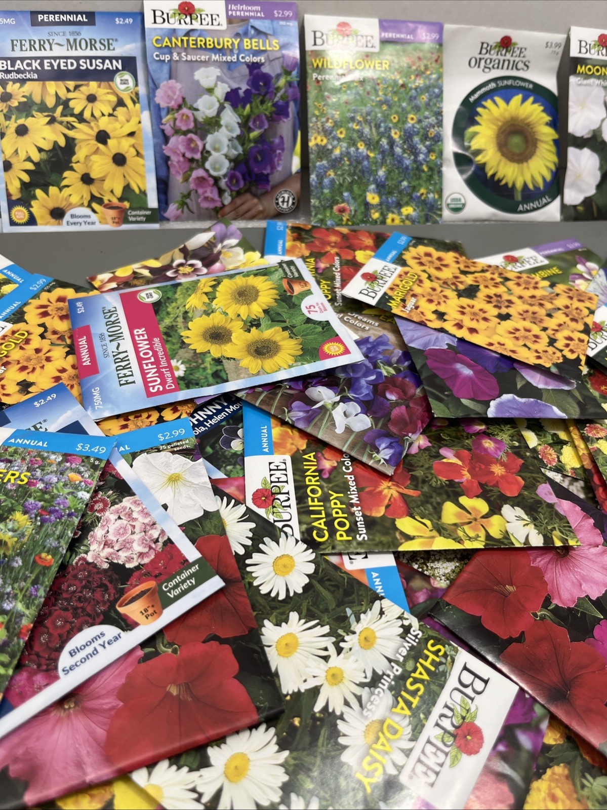 Flowers annual perennial Plant Seeds (Assorted Lot of 100) sell by 11/26 Garden