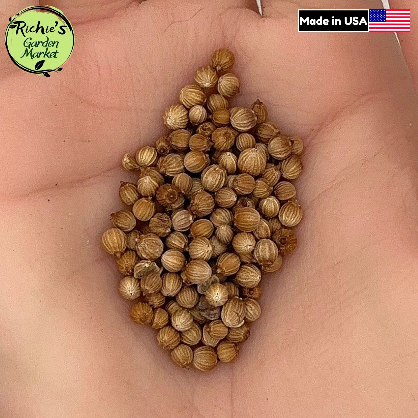 Cilantro Seeds, Coriander, Non-GMO, Fast Growing, Aromatic Herb, Free Shipping