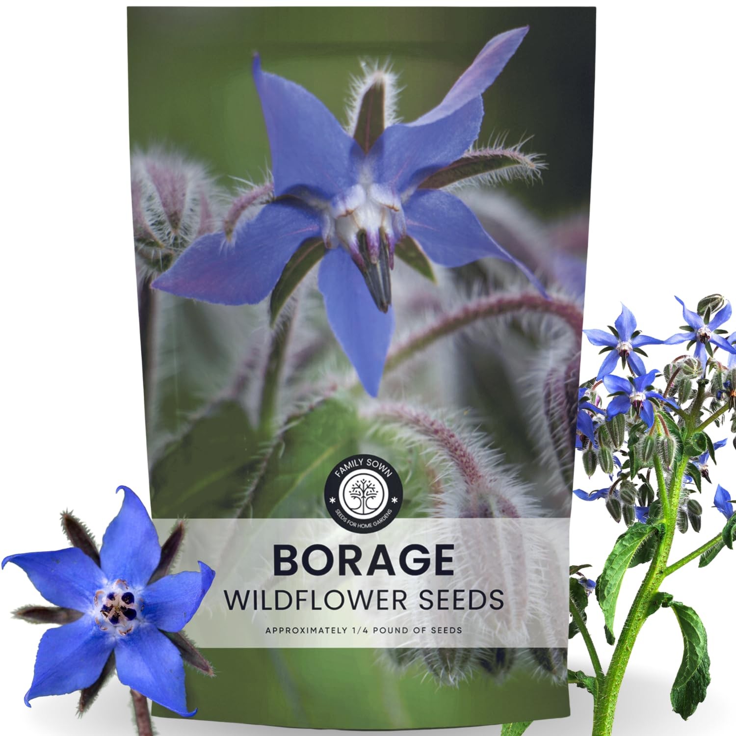 Borage Seeds 4,000 Count for Planting 2026 Season 4 Ounce Pouch