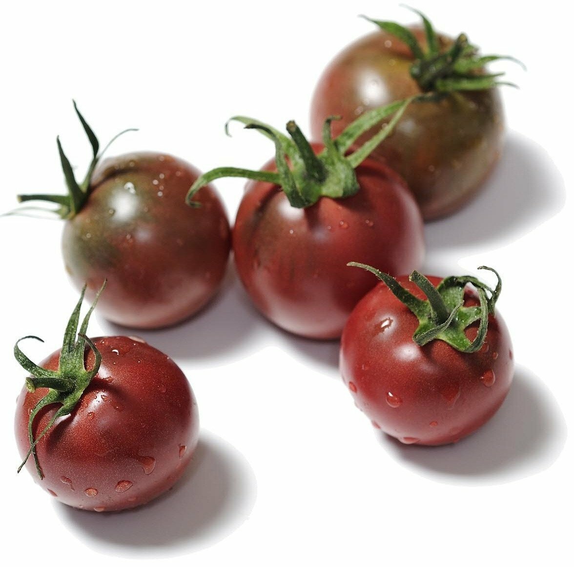 Organic Black Cherry Tomato – Lycopersicon lycopersicum