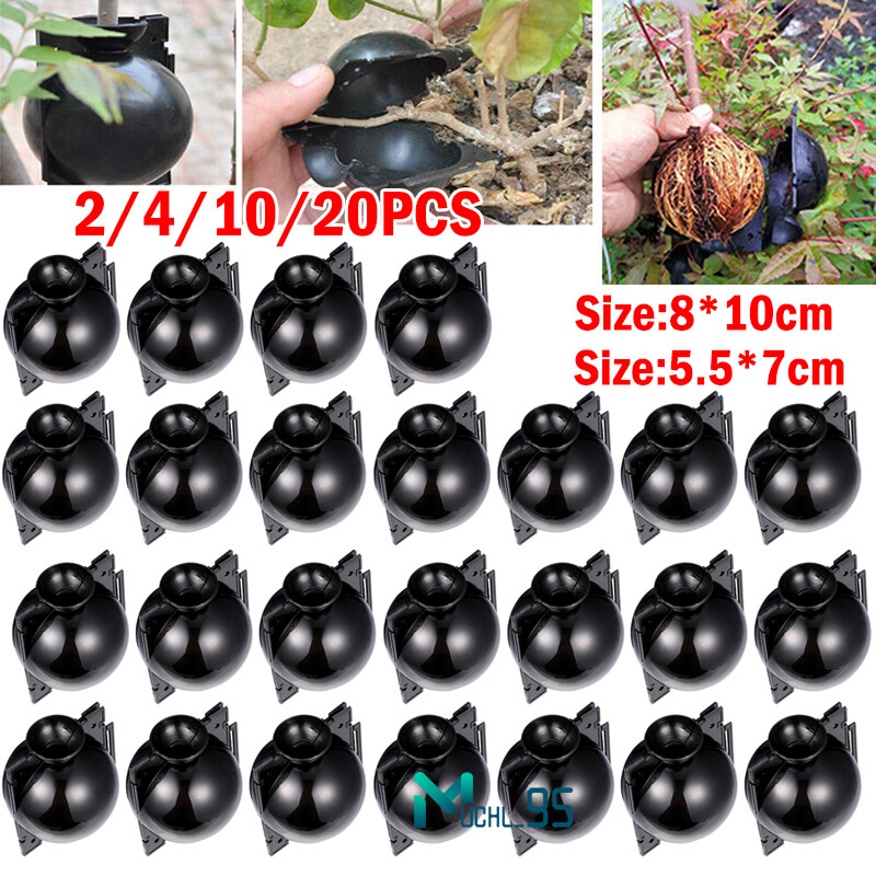 Tree Root Growing Box Rooting Ball Grafting Tool High Pressure Plant Propagation