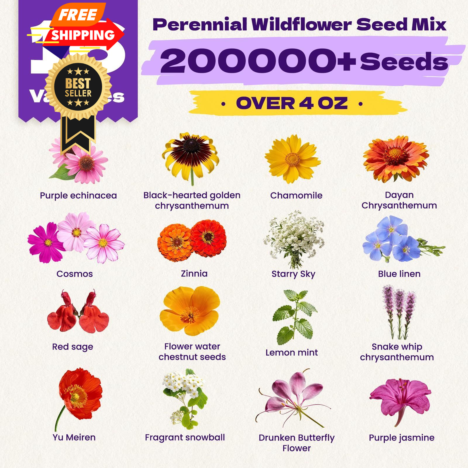 200,000+ Wildflower Seeds Bulk (4oz) – 16 16 Variety Perennial Mix, Colorful