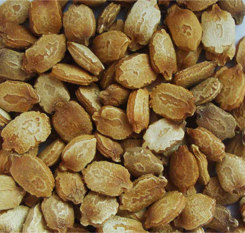 Vietnam Bitter Gourd, Khổ Qua Mỡ Trái Dài, Bitter Melon Seeds F1 Non-GMO