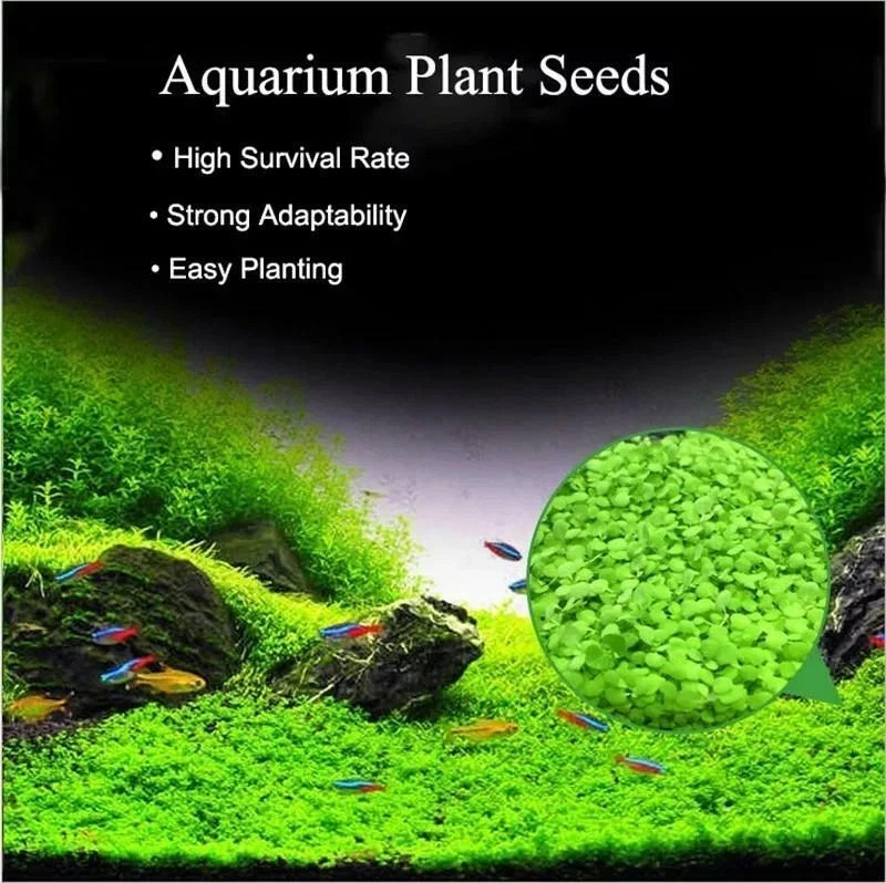 200+ Pcs Aquarium Carpet Plant Seeds Aquatic Grass for Fish Tank Decoration