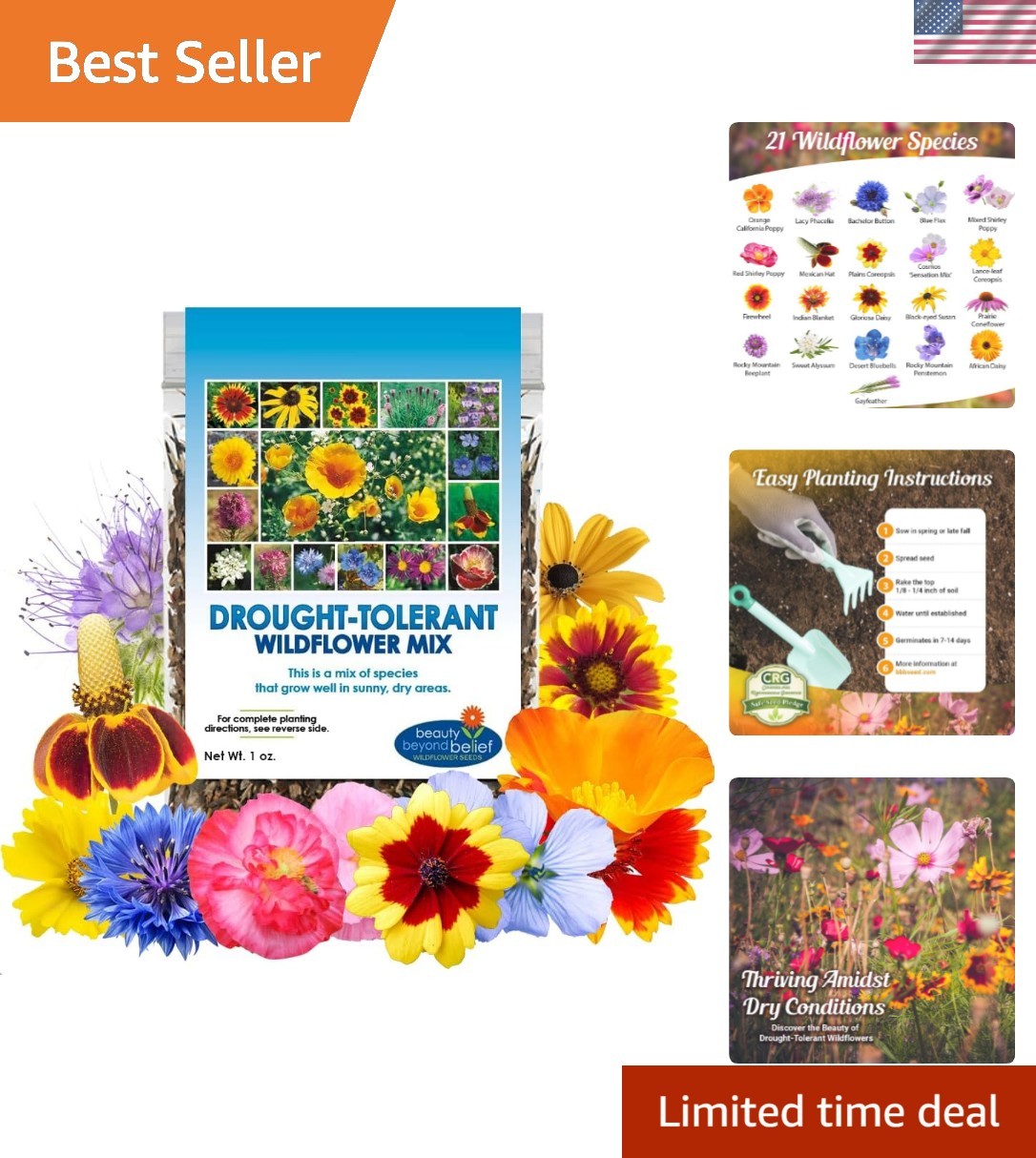 Beautiful Multi-Colored Wildflower Seeds – 1oz, Garden-Ready for Zones 2-10