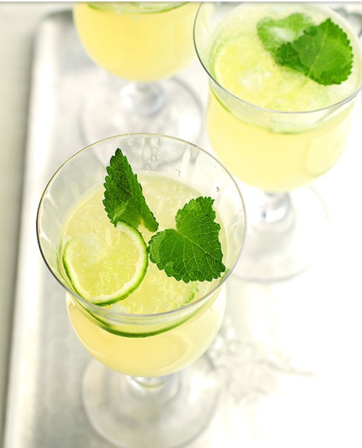 500 LEMON BALM SEEDS-Mosquito Repellent-Organic-Open Pollinated-NON GMO
