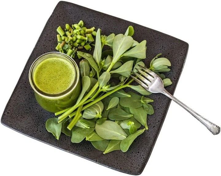 Purslane Well Root Plants Edible Organic Garden Salad Portulaca Omega-3 Herb