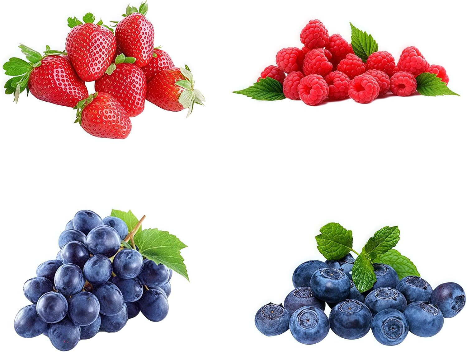 1000+ Mixed Berry Seeds for Planting – Grape, Blueberry, Raspberry & Strawberry