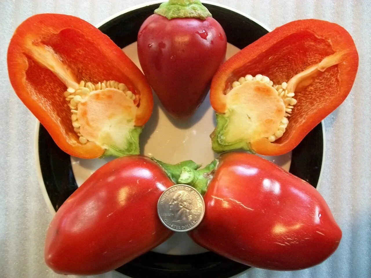 PEPPER PIMENTO RED SET OF 20+ SEEDS
