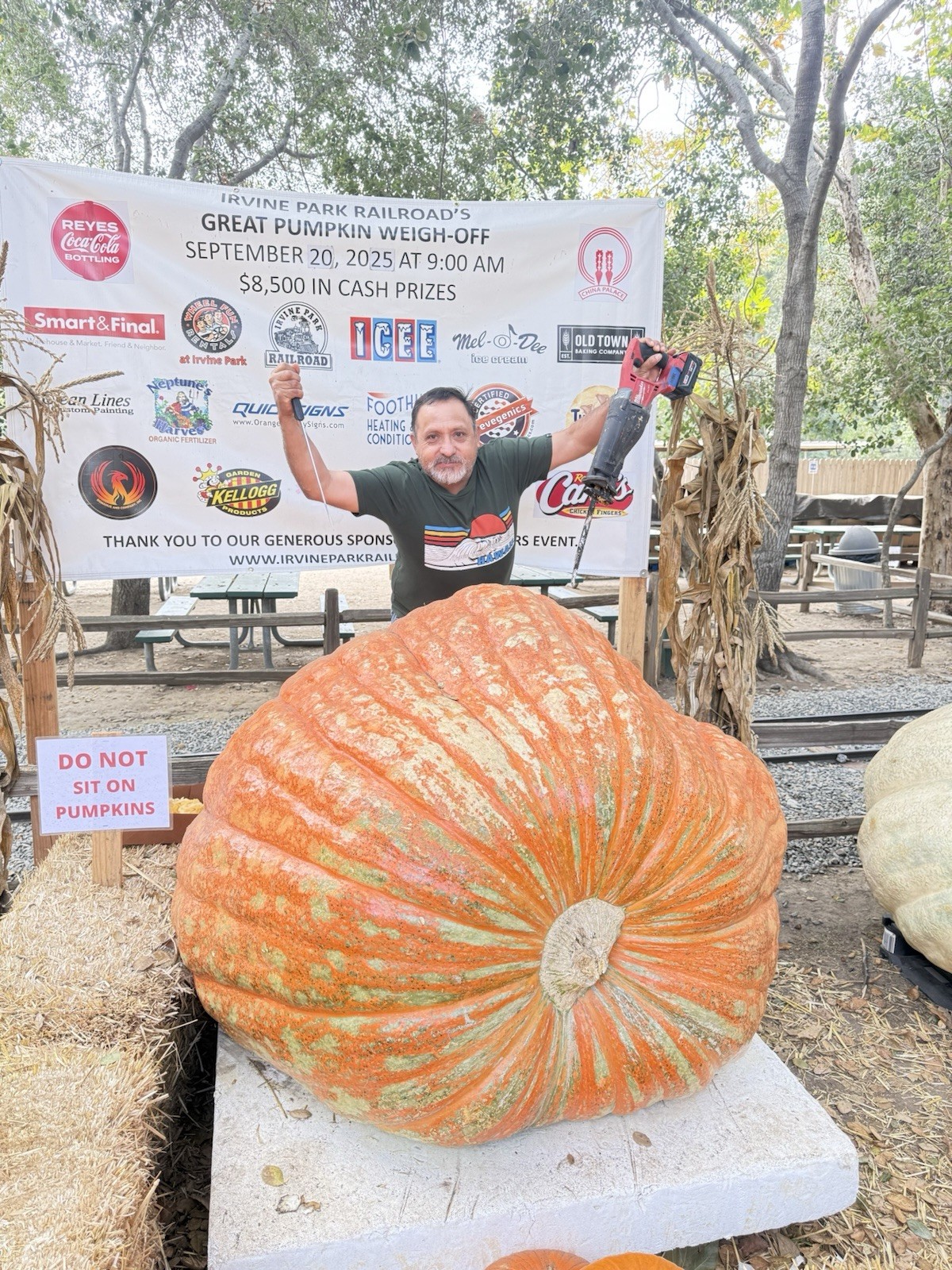 Dill’s Atlantic Giant Pumpkin Seeds 2 seeds for $25.00 )Howard Dill Winner.