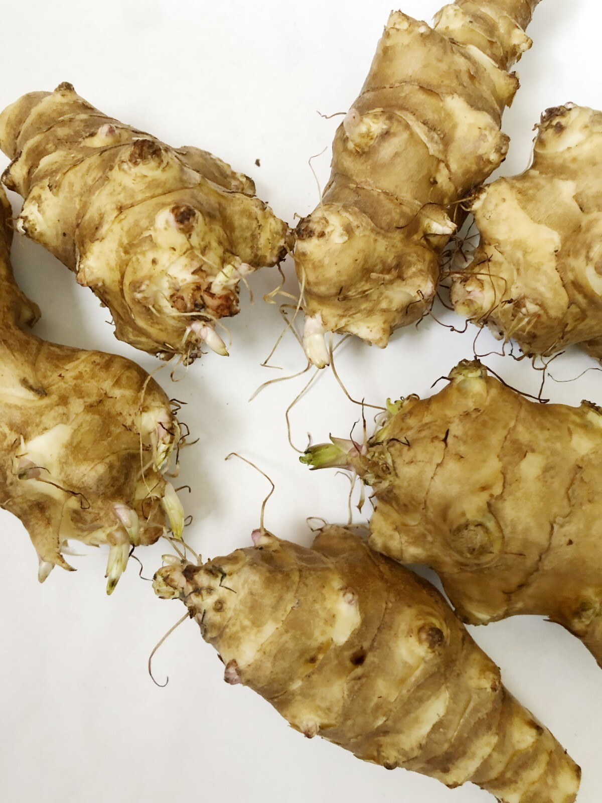 10 LBs Large Tubers Jerusalem Artichoke/Sunchoke – For Planting