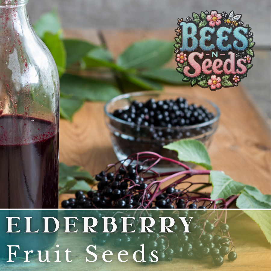 Verity Elderberry Seeds 175 or 450 Seeds Fruit Seeds, Non GMO, Berry Seeds